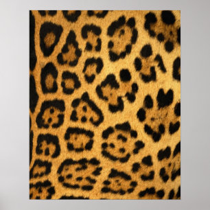 Jaguar Fur Print Poster