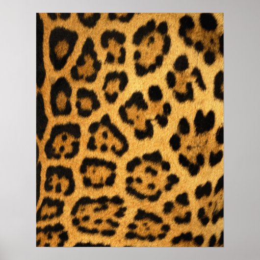 Jaguar Fur Print Poster (Vorne)