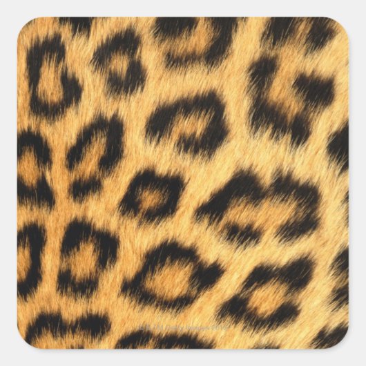 Jaguar Fur Quadratischer Aufkleber (Vorderseite)