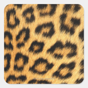 Jaguar Fur Quadratischer Aufkleber