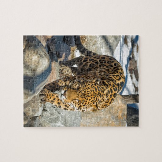 Jaguar-Gewohnheits-Produkte Puzzle (Horizontal)