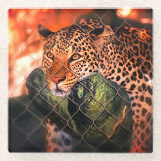 Jaguar Glasuntersetzer (Vorderseite)