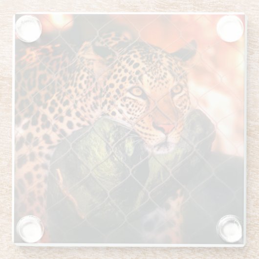 Jaguar Glasuntersetzer (Rückseite)