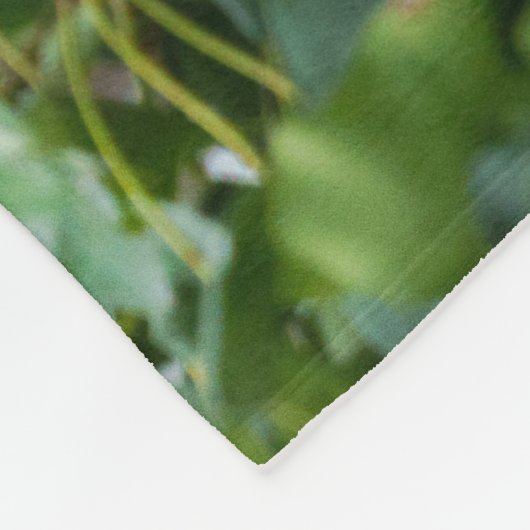 Jaguar Growl Fleecedecke (Ecke)