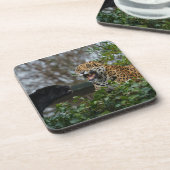 Jaguar Growl Getränkeuntersetzer (Linke Seite)