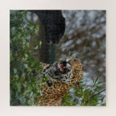 Jaguar Growl Puzzle (Horizontal)
