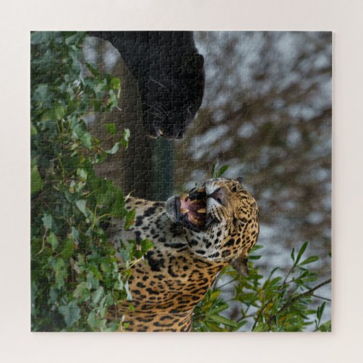 Jaguar Growl Puzzle (Horizontal)