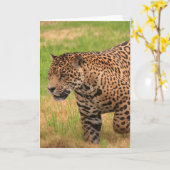 Jaguar-Gruß-Karte Karte (Gelbe Blume)