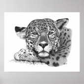 Jaguar im Stift Poster (Vorne)