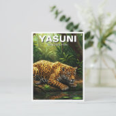 Jaguar im Yasuni-Nationalpark Ecuador Postkarte (Stehend Vorderseite)