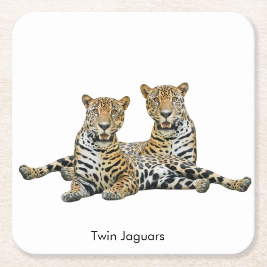 Jaguar-Image für Paper Untersetzer (Vorderseite)