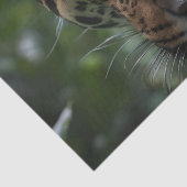 Jaguar ist Nah im Wald, Seidenpapier (Detail)