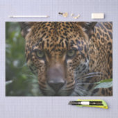 Jaguar ist Nah im Wald, Seidenpapier (Handwerk)