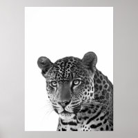 Jaguar Jungle Modern Portrait Schwarz-weiß