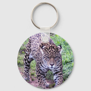 Jaguar Katzenmuster Tier Safari Dschungel Kunst Na Schlüsselanhänger