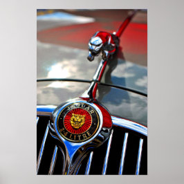 Jaguar Leaper Leaping Cat Poster