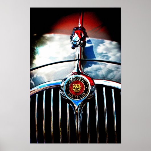 Jaguar Leaper Leaping Cat Poster (Vorne)