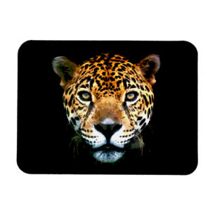 Jaguar Magnet