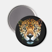 Jaguar Magnet (Vorderseite/Rückseite)