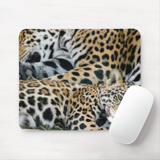 Jaguar-Mama-undbaby Mousepad (Mit Mouse)