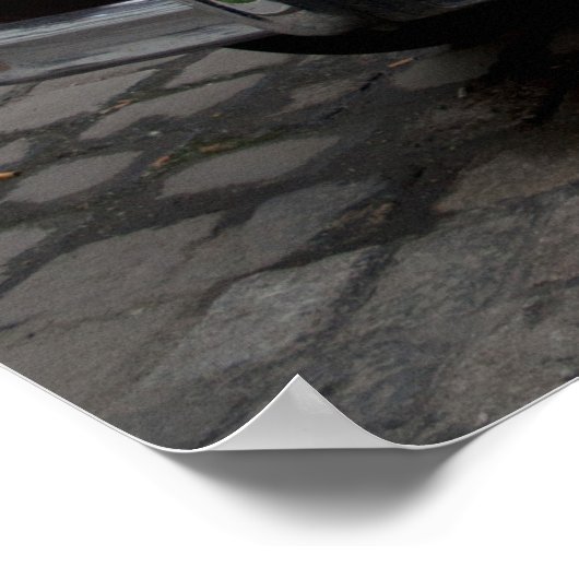 Jaguar Mark IX Poster (Ecke)