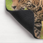 Jaguar-Mausunterlage Mousepad (Ecke)
