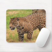 Jaguar-Mausunterlage Mousepad (Mit Mouse)