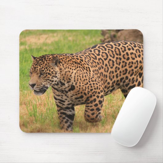 Jaguar-Mausunterlage Mousepad (Mit Mouse)