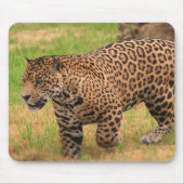 Jaguar-Mausunterlage Mousepad (Vorne)
