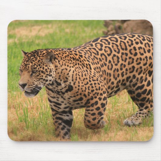 Jaguar-Mausunterlage Mousepad (Vorne)