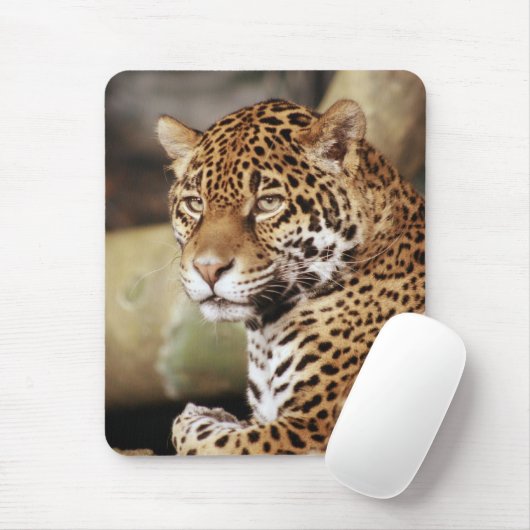 Jaguar Mousepad (Mit Mouse)