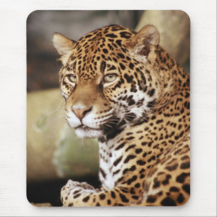 Jaguar Mousepad