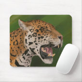 Jaguar Mousepad (Mit Mouse)