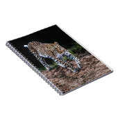 Jaguar Notizblock (Rechte Seite)