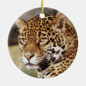Jaguar Ornament (Hinten)