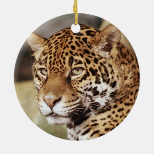 Jaguar Ornament (Hinten)
