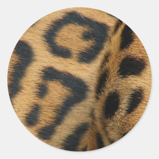 Jaguar Pattern Stickers (Vorderseite)