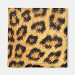 Jaguar-Pelz Magnet