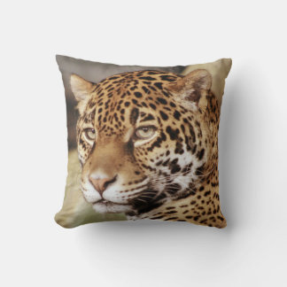 Jaguar Pillow Kissen