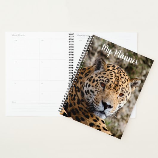 Jaguar Planer (Anzeige)