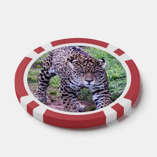 Jaguar Pokerchips (Einzeln)