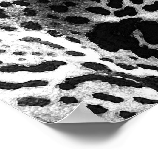 Jaguar Pop Art Poster (Ecke)