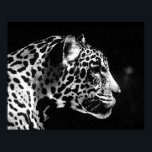 Jaguar Pop Art Poster<br><div class="desc">Black & White Jaguar Portrait Posters - Pop Art Jaguar Image - Big Wild Cats Prints - The Head of the Jaguar - Face of Jaguar</div>