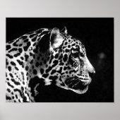 Jaguar Pop Art Poster (Vorne)