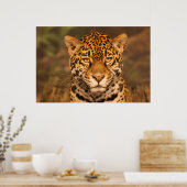 Jaguar Poster (Küche)