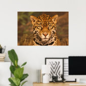 Jaguar Poster (Heimbüro)
