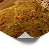 Jaguar Poster (Ecke)