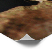 Jaguar Poster (Ecke)