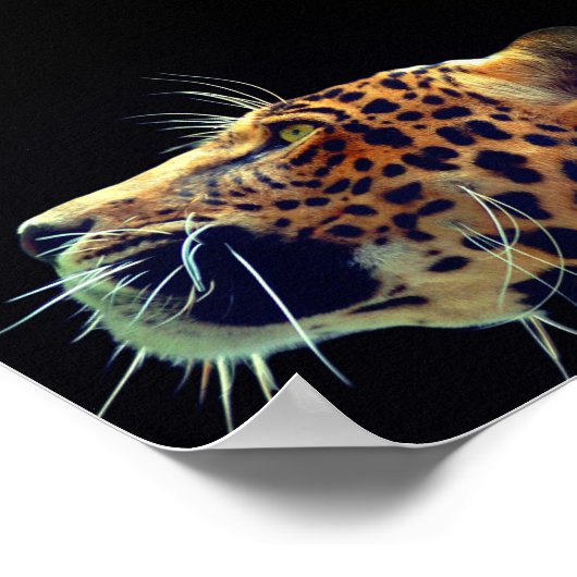 Jaguar Poster (Ecke)