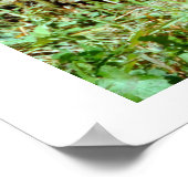 Jaguar Poster (Ecke)